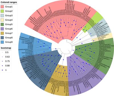 Genome-wide identification of genes encoding cystathionine beta synthase domain-containing proteins in wheat and its relationship with anther male sterility under heat stress